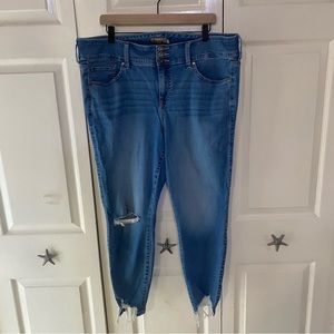 Torrid Jeggings 20R